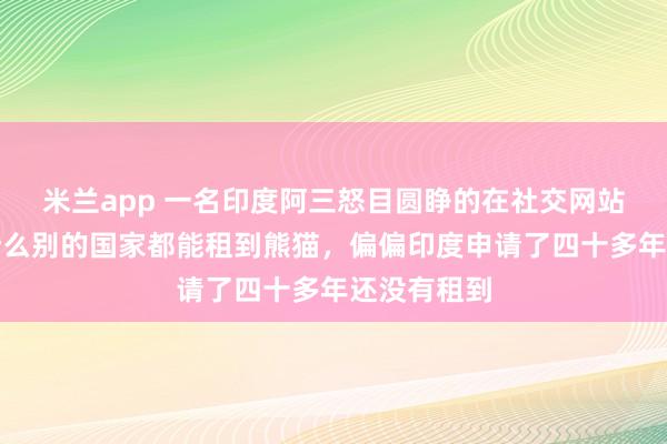 米兰app 一名印度阿三怒目圆睁的在社交网站抱怨，为什么别的国家都能租到熊猫，偏偏印度申请了四十多年还没有租到