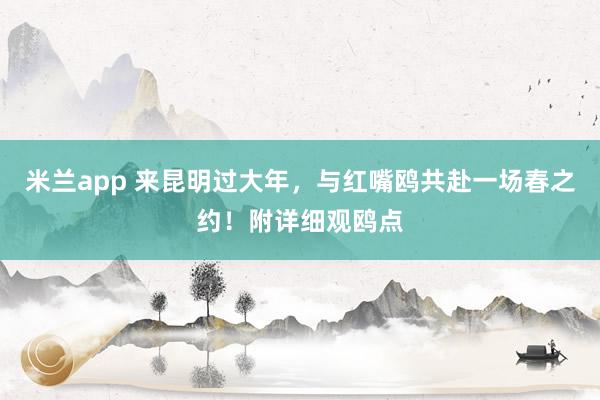 米兰app 来昆明过大年，与红嘴鸥共赴一场春之约！附详细观鸥点